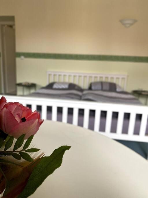 Apartment Sonnenterrasse *